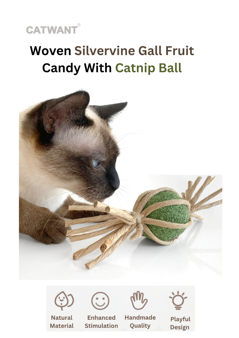 Jouet pour Chat – Balle à l'Herbe à Chat & Actinidia en Forme de Bonbon