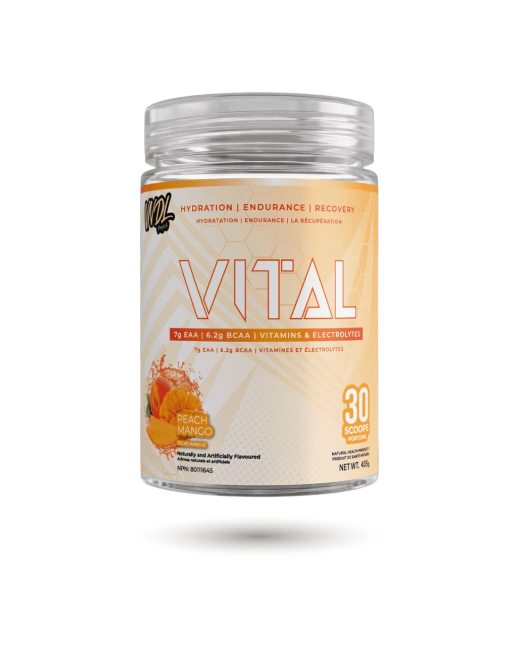 VNDL Project Vital – Poudre d'Endurance, Récupération & Hydratation – BulkBully Supplements
