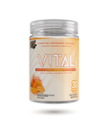 VNDL Project Vital – Poudre d'Endurance, Récupération & Hydratation – BulkBully Supplements
