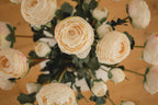Ranunculus