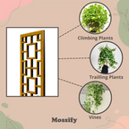 Treillis en Bois Tropical Squares – Mossify
