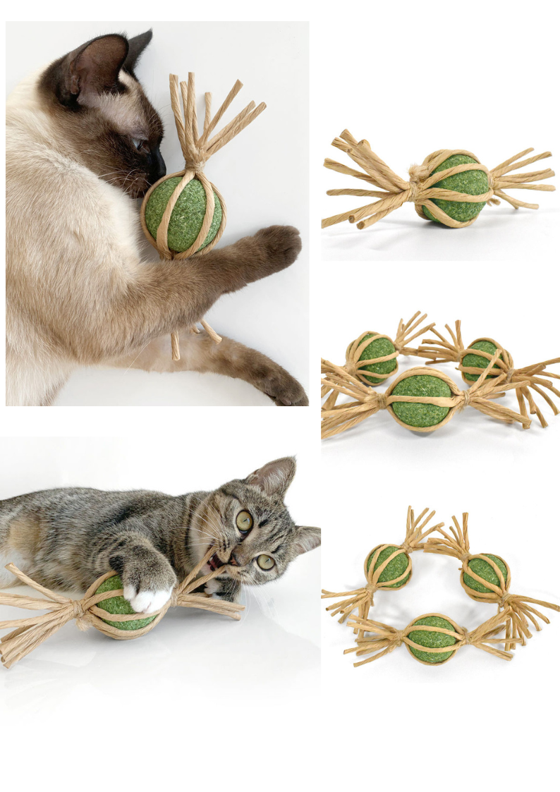 Jouet pour Chat – Balle à l'Herbe à Chat & Actinidia en Forme de Bonbon