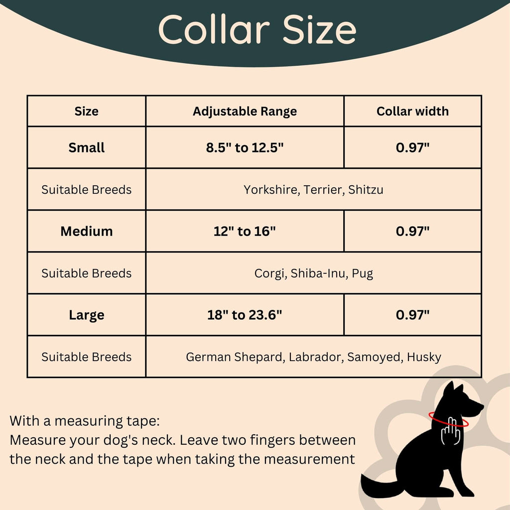 Collier Impérméable pour Chien – PVC Durable – 3 Couleurs – Tag4MyPet
