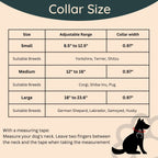 Collier Impérméable pour Chien – PVC Durable – 3 Couleurs – Tag4MyPet