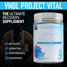 VNDL Project Vital – Poudre d'Endurance, Récupération & Hydratation – BulkBully Supplements
