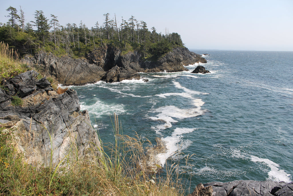 204 Nootka Island Kayaking and Boating Map