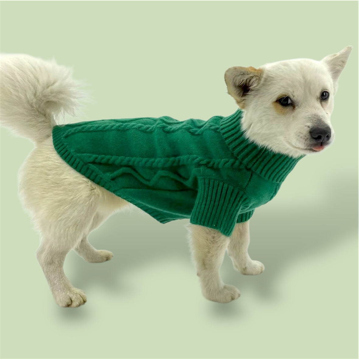 Chandail Vert Câblé pour Chien – Fait Main au Canada – Laine & Polyester – Puccissimé Pet Couture