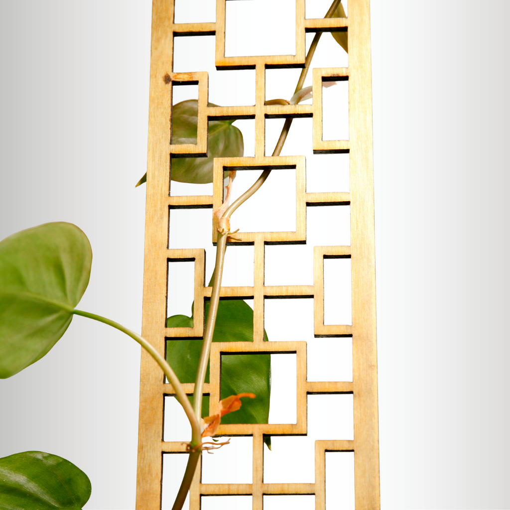 Treillis en Bois Tropical Squares – Mossify
