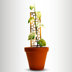Treillis en Bois Tropical Squares – Mossify