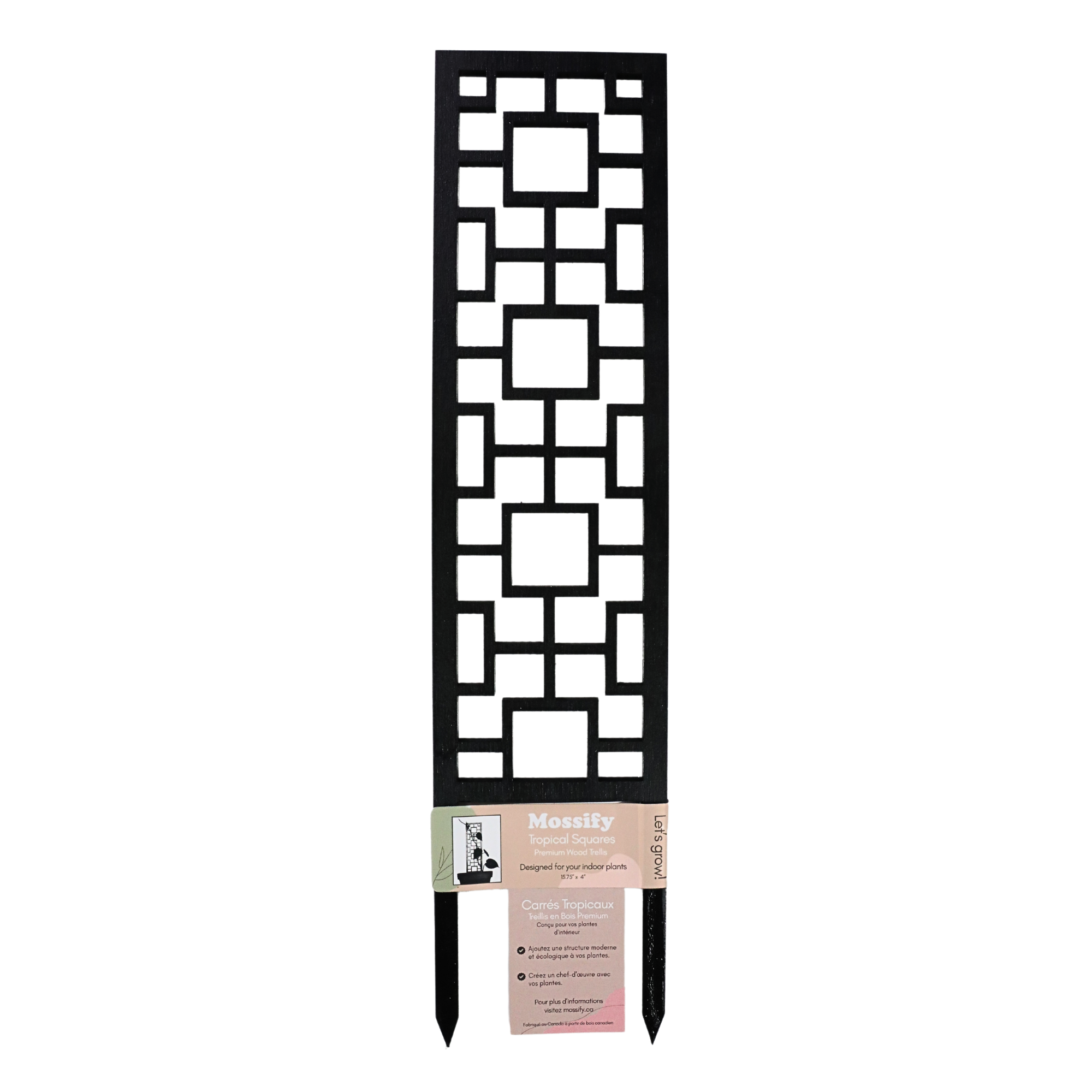 Treillis en Bois Tropical Squares – Mossify