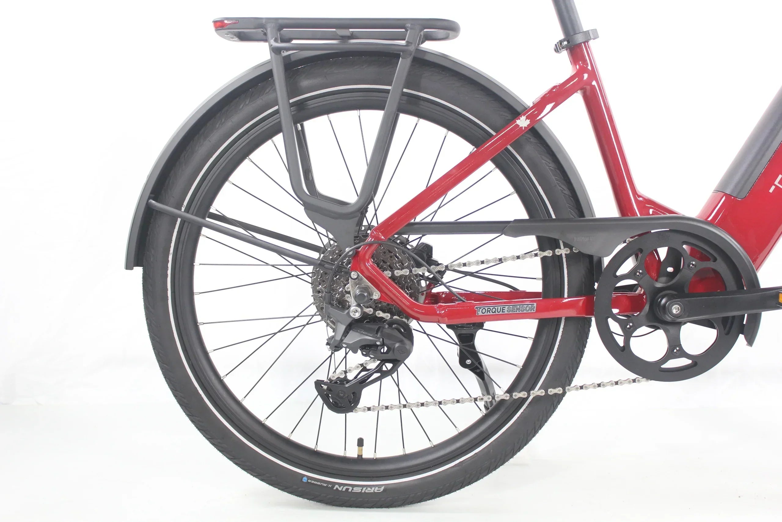 Freedom City Elite eBike (C3H)