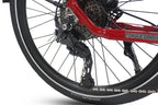Freedom City Elite eBike (C3H)