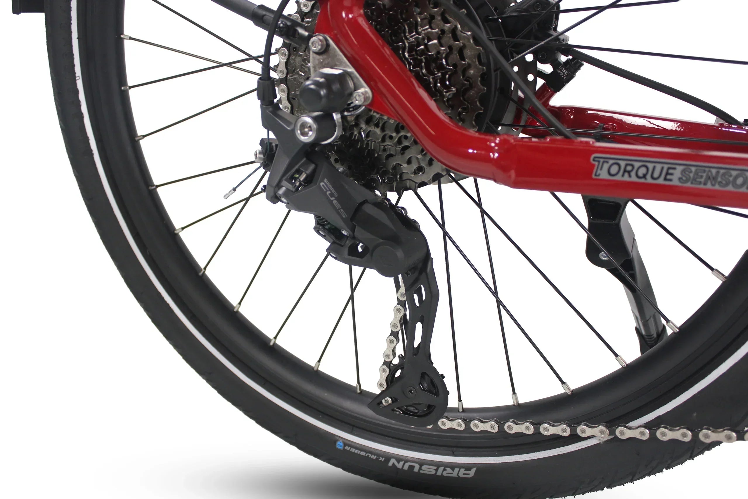 Freedom City Elite eBike (C3H)