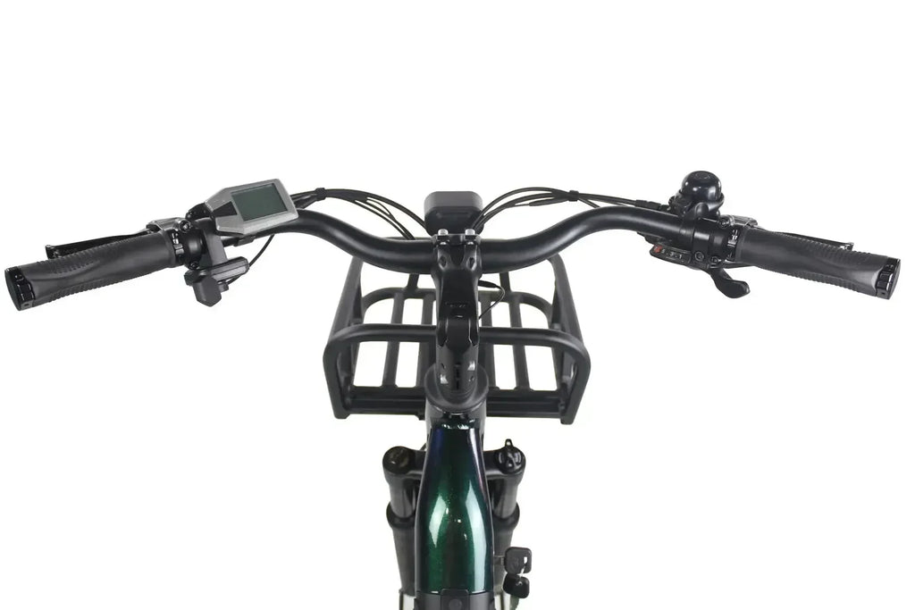 Freedom City Base eBike (C3H)
