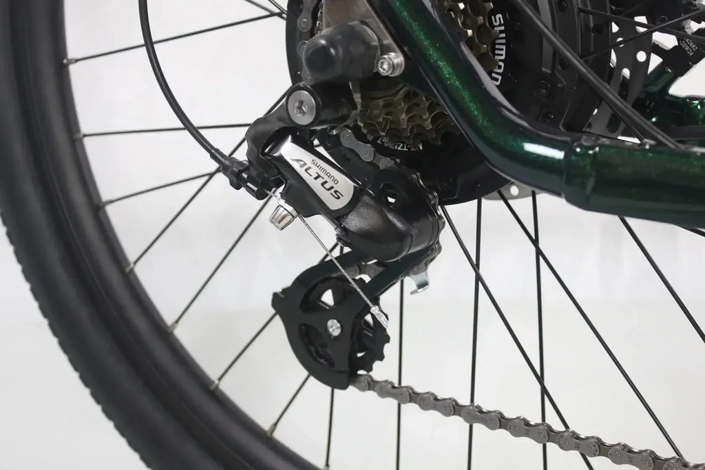 Freedom City Base eBike (C3H)