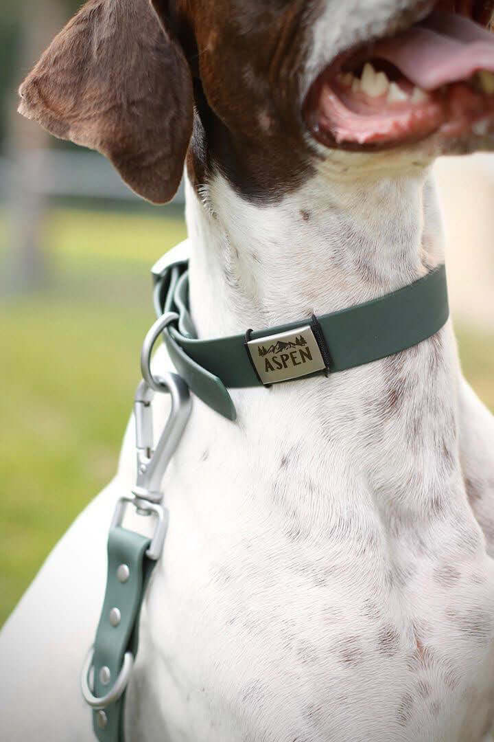Collier Impérméable pour Chien – PVC Durable – 3 Couleurs – Tag4MyPet