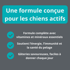 Gâterie multivitamine pour chien