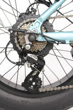 Inspire Mini eBike (N2H)
