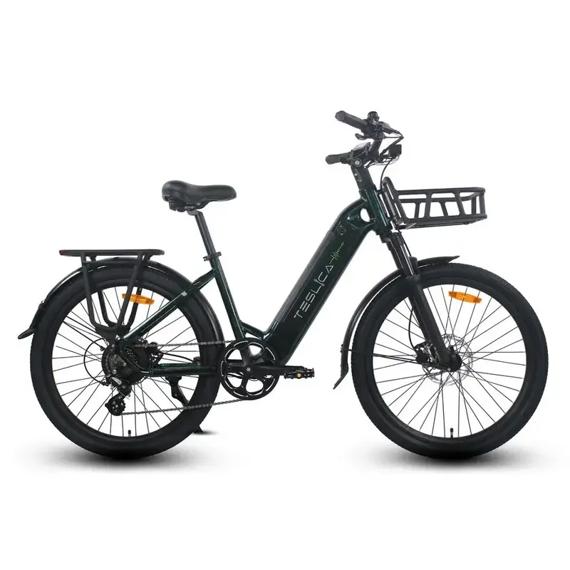 Freedom City Elite eBike (C3H)